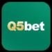 q5bet game