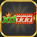 xd777 game